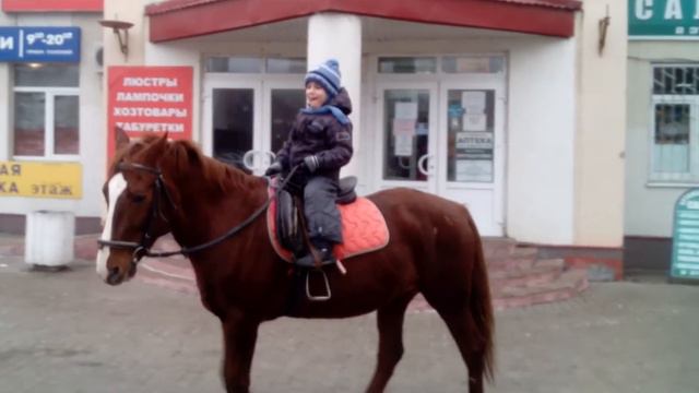 Сам лошадь рулит смотреть онлайн