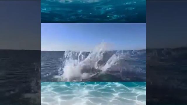 Идеальные летние деньки на яхте под парусом в Сочи!☀️⛵️ смотреть онлайн