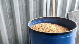 Измельчитель зерна "Уральские хрюшки" 350кг, в час  обзор , распаковка зернодробилки