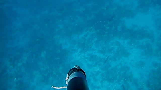 Подводная охота на дораду, Хорватия (дорадо) смотреть онлайн