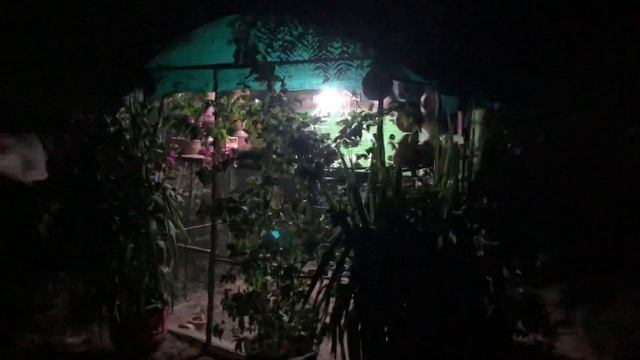 My java aviary | natural setup for java | java information | java update | смотреть онлайн