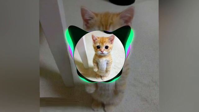 песня брата смотреть онлайн