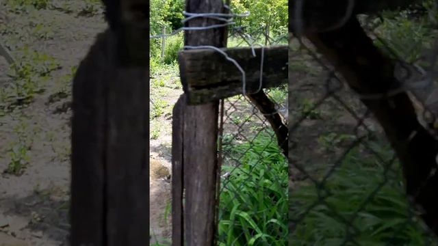 Продаётся дом,в ст.Вознесенской Краснодарского края в Лабинском районе