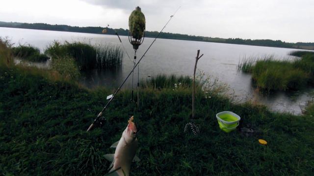 Рыбалка на леща и карася с хорошим клевом на реке 2019 смотреть онлайн