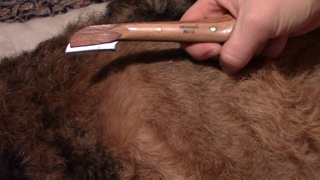 Airedale Terrier Grooming ✔ Тримминг это! смотреть онлайн