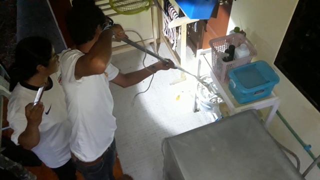 Змея в ведре со шваброй