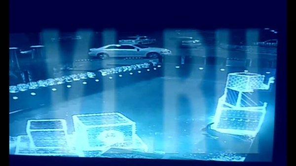 VL ru Побоище в ресторане Владивостока