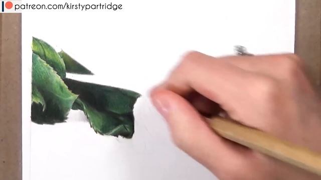 How to Draw a Realistic Rose in Coloured Pencil | Drawing Tutorial Step by Step смотреть онлайн