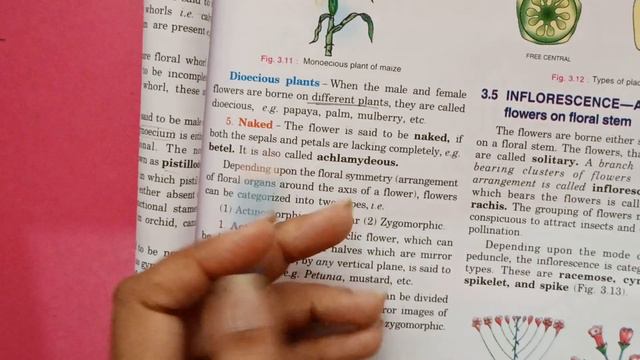 9th Grade | Biology | Chapter 3 | AV Assignment 10 | 31st July 2021