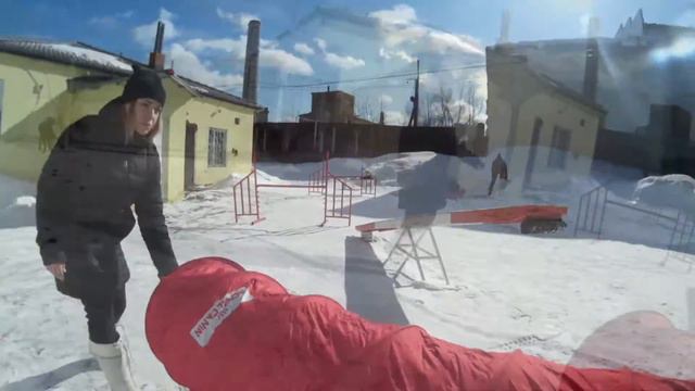 Аджилити / Agility 20.03.16 смотреть онлайн