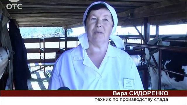 В Карасуке выбрали лучшего специалиста машинного доения смотреть онлайн
