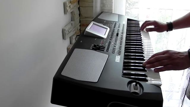 Robert Miles - Children cover by angeleyes Korg PA 500 смотреть онлайн