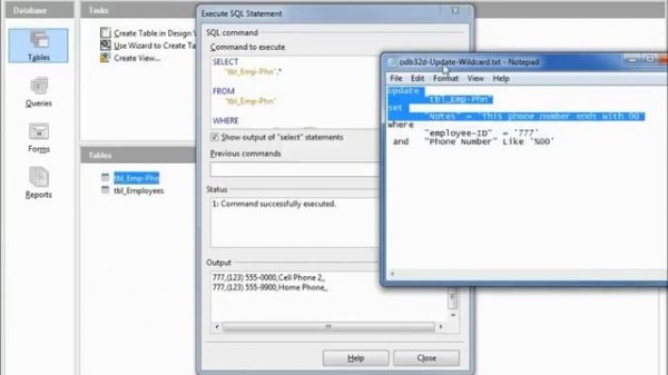 LibreOffice Base (32) Query Update Delete