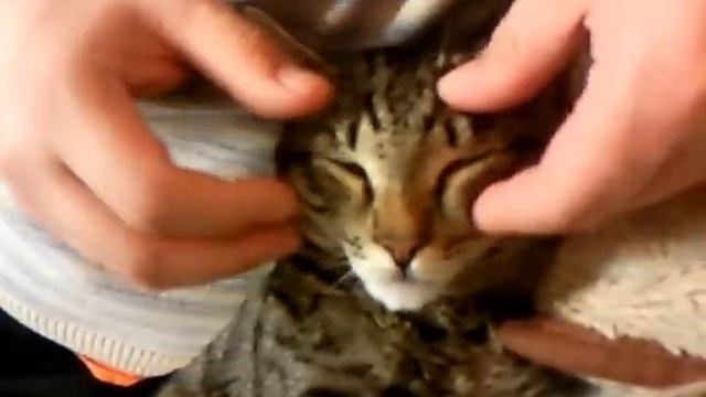 Открытие третьего века смотреть онлайн