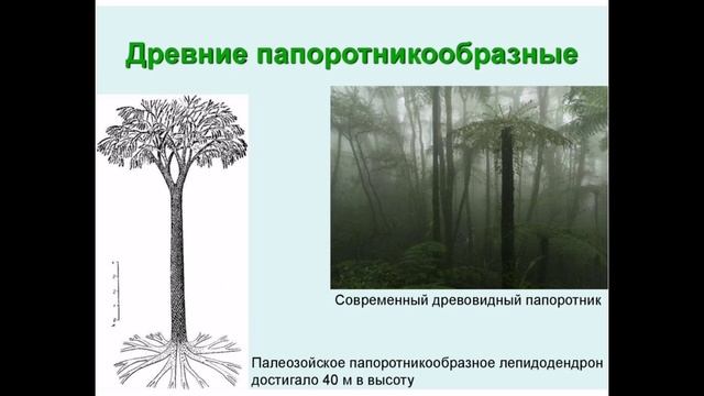 «Учиться просто»