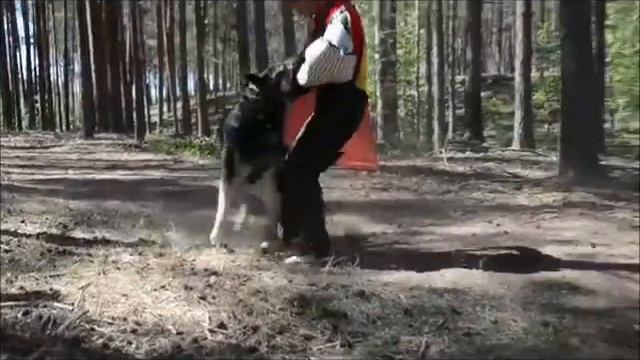 Проверка в Нижнем смотреть онлайн