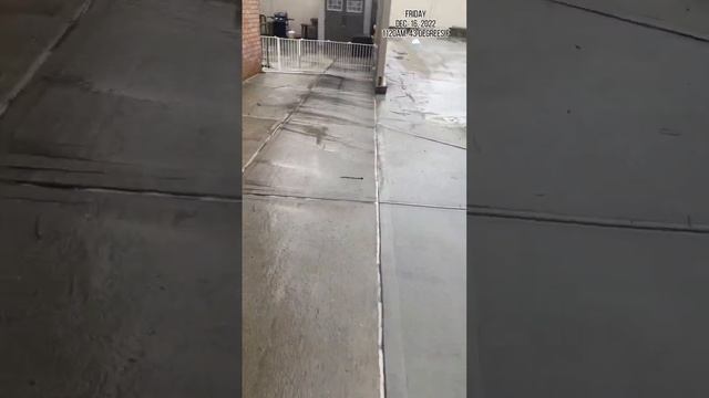 Day 362 In A Row Dog Training