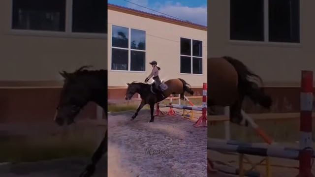 у вас лошадь с подковами или без?✨ смотреть онлайн