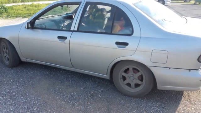 KKTC LEFKOŞA ALAYKÖY PİKNİK ALANI 2019 NİSSAN PULSAR 1999 2.0 DİZEL OTOMATİK SARIŞIN KAPTAN CANSEVE смотреть онлайн