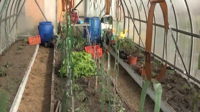 ЧТО ПОЛЕЗНО сделать В ТЕПЛИЦЕ! смотреть онлайн