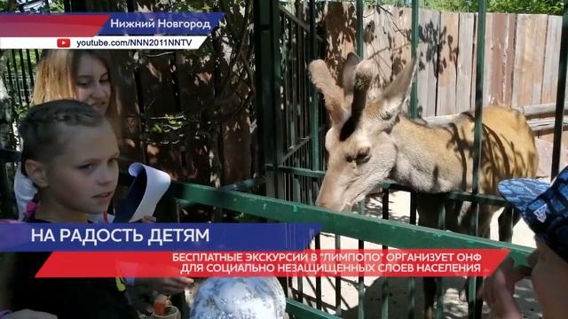 Бесплатные экскурсии в «Лимпопо» организует ОНФдля социально незащищенных слоев населения смотреть онлайн