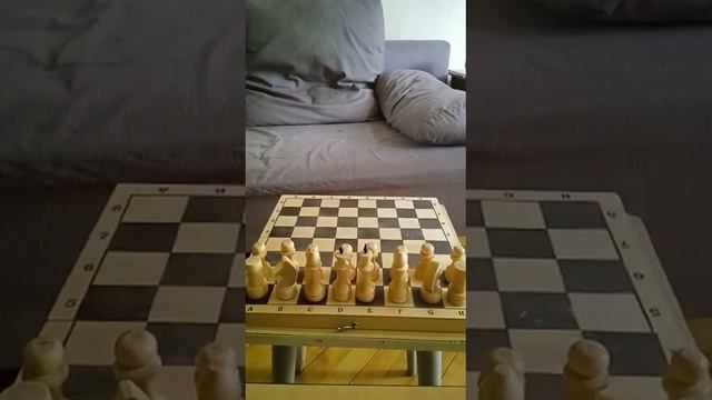 Шахматы. Как можно быстро научиться играть в шахматы? ( разбераем ошибки в фигурах) смотреть онлайн