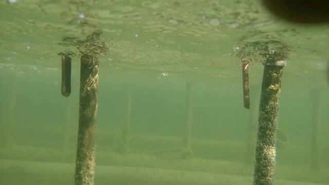 Подводная съемка Sony Xperia Z (under water): пример видео в фонтане смотреть онлайн