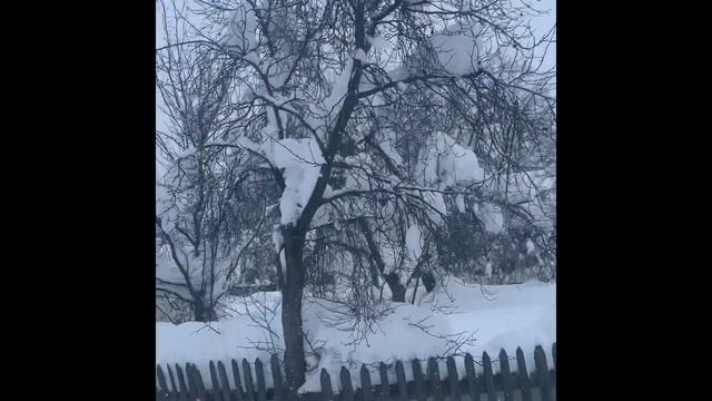 Різдво 2019 у Багнуватому смотреть онлайн