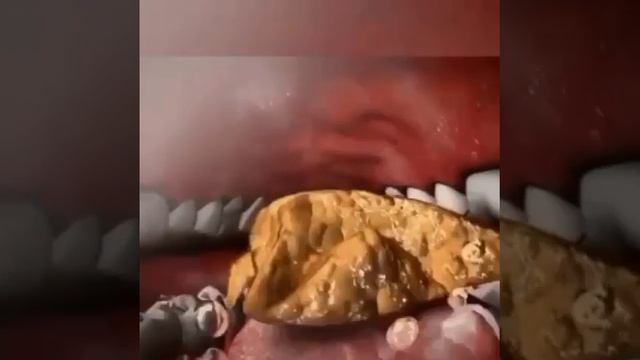 Руководство к Искусству