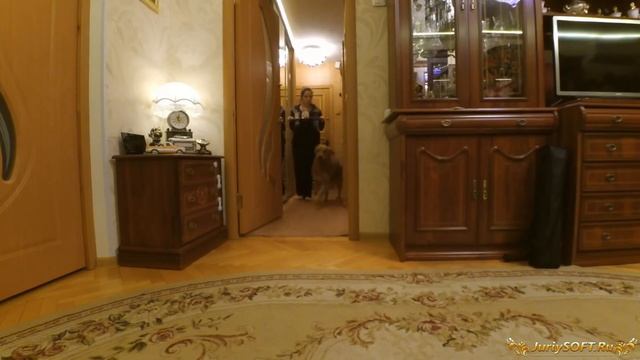 Учим Делать Умно