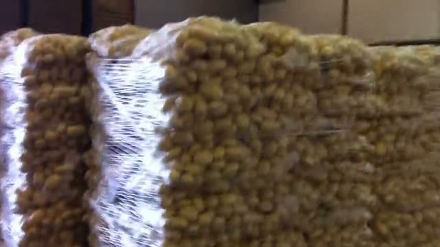 Овощи из Израиля смотреть онлайн