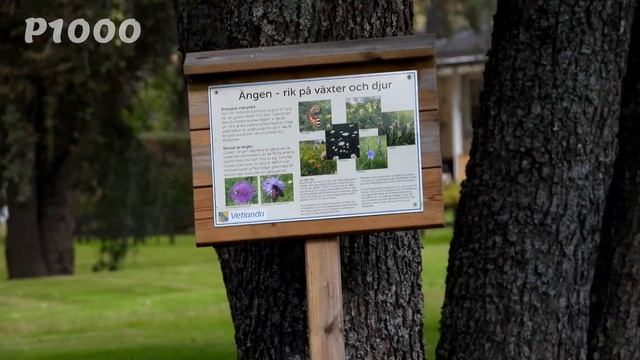 Xiaomi Mi 11 Ultra VS Nikon Coolpix P1000 (SUPER ZOOM) смотреть онлайн