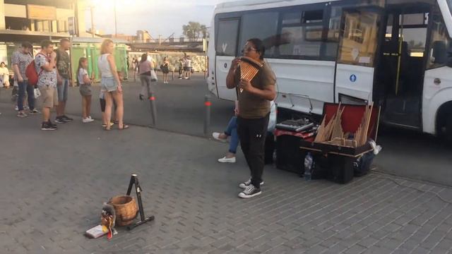 Станция Мытищи индеец играет одинокого пастуха 👍🏻 смотреть онлайн