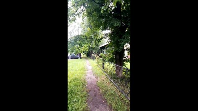 онлайн квест О чем расскажут книги смотреть онлайн