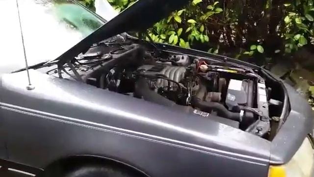 1988 thunderbird 5.0 first start in 7 years смотреть онлайн