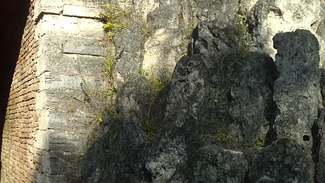 Большой Каприз. Александровский парк. Г. Пушкин (Санкт-Петербург)