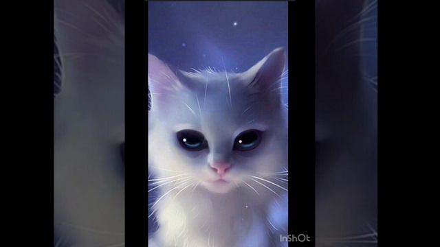 Котик смотреть онлайн