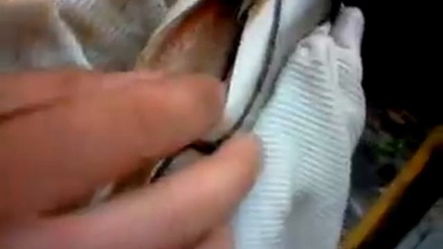 Электрокоптильня часть 2 для мобильных телефонов смотреть онлайн