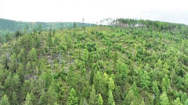 Поход за горным Хариусом в самую глушь Сибирской тайги. смотреть онлайн