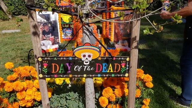 Day of the Dead. Мексиканский День мертвых на голливудском кладбище смотреть онлайн