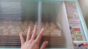 Инкубатор блиц матрица дели / инкубация бройлеров