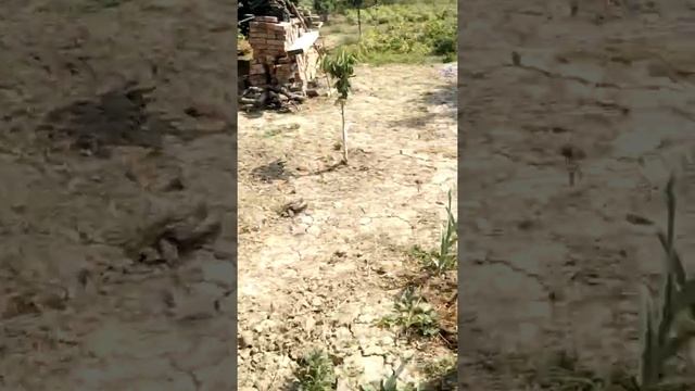 на даче + 38 обзор смотреть онлайн