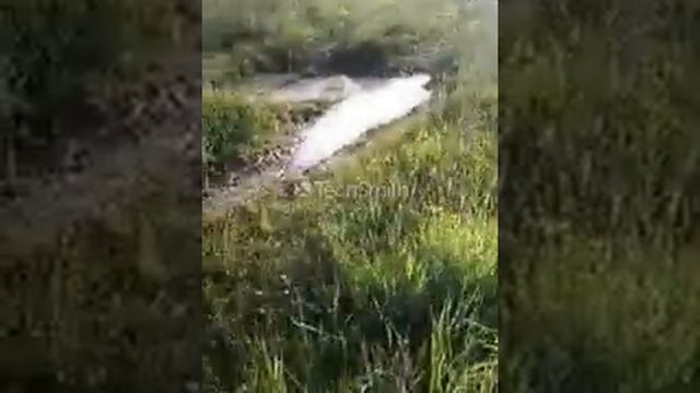 Водные гонщики смотреть онлайн