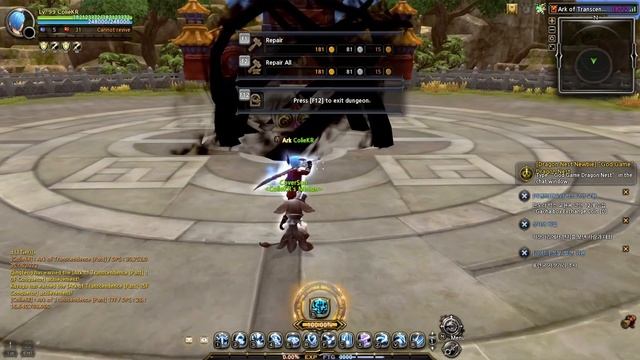 Lv99 STG : Ark Box Key / Dragon Nest Korea (2023 June) смотреть онлайн
