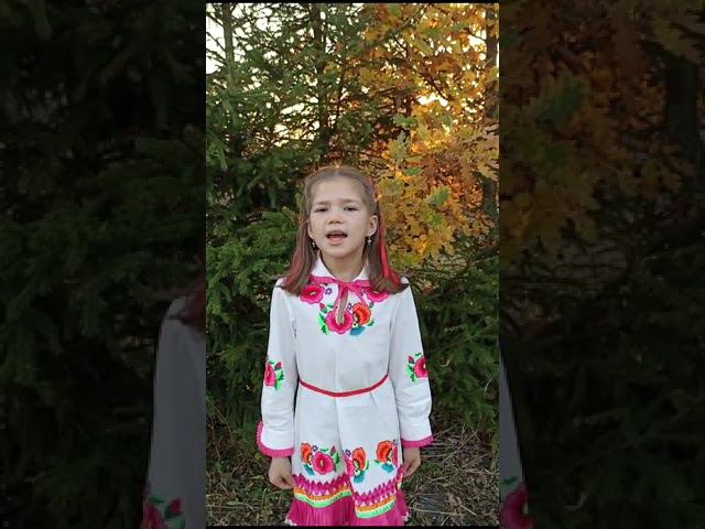 С.Г.Чавайн «Хоть ты скажешь солнце». Оросланова Улина Алексеевна. 10 лет смотреть онлайн