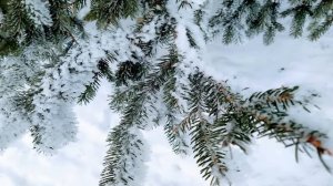 3 марта. ЯРИЛИН ДЕНЬ.Народные приметы.Традиции.Обряды старины