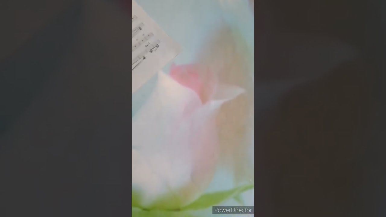 И у меня, конечно же есть #ПослеСловие, но смотреть онлайн