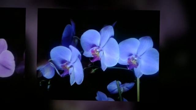 Немного зимней романтики...... смотреть онлайн