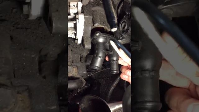 Замена термостата форд фокус 1 1.6 смотреть онлайн