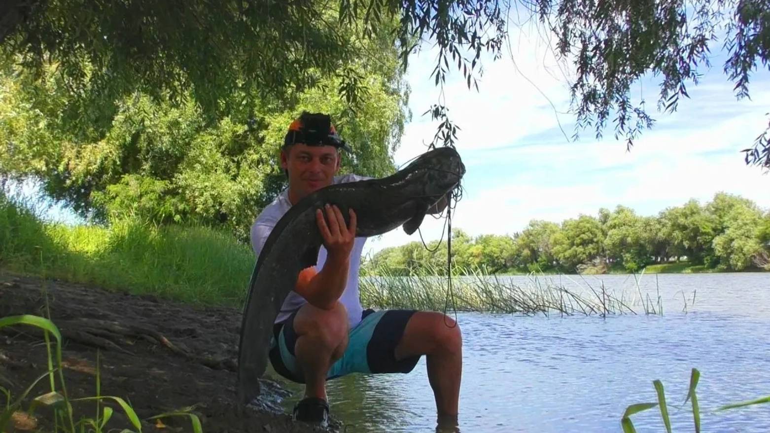 Вываживать такого удовольствие Рыбалка с ночевкой в Астрахани Ловля сазана на жмых и сома смотреть онлайн